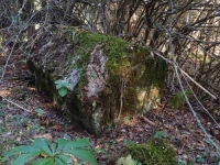 DUBOKO U ŠUMI KRILO SE NEOTKRIVENO BLAGO BiH: Otkrivena do sad nepoznata nekropola stećaka