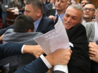 POTPUNI HAOS U SKUPŠTINI SRBIJE: Poslanici se potukli, Brnabić u panici zove osiguranje, u holu 'pevaljke' odaju počast Palmi... (FOTO, VIDEO)