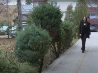 BOSANKA - GENIJALKA: Učenica srednje škole u BiH ima IQ kao najveći umovi svijeta, planira...