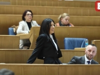 NA DNEVNOM REDU DVA VAŽNA ZAKONA: Počela hitna sjednica Zastupničkog doma Parlamenta BiH (FOTO)