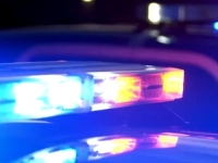 ZABRINUTA SESTRA ZVALA POLICIJU: Djevojka pronađena mrtva u stanu, njeni psi počeli da je jedu