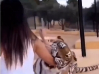 SNIMAK KOJI IZAZIVA JEZU: Ženu je iznenada napao tigar, pogledajte njenu nevjerovatnu reakciju (VIDEO)