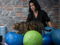 PROBLEMI S PRETILOŠĆU: Zbog neadekvatne aktivnosti mačka 'Simba' mršavi uz pilates i plivanje