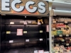 PROBLEMI PREKO BARE: Velika nestašica jaja u SAD-u, pored trgovinske napetosti mole... (FOTO)