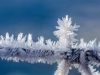 ZAKOVALO NA MINUS 13: Zimsko jutro u Bosni i Hercegovini, najniža temperatura izmjerena...