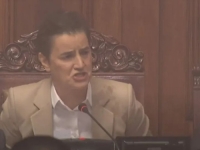 MALO DRUŠTVO, ALI ODABRANO: Ana Brnabić kazala da haos u Skupštini Srbije raduje samo Albina Kurtija, 'službeni Zagreb' i 'Slobodnu Bosnu'!?