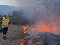 PUNO POSLA ZA VATROGASCE: Požar zahvatio Šavnik, jak vjetar ometa gašenje vatre  (FOTO)