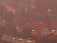 SNIMAK O KOJEM BRUJI SRBIJA: Ovo je trenutak kad je zastupnica Obradović pogođena u glavu, pogodio je SNS-ovac? (VIDEO)