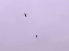 ŠTA SE DOGAĐA U REPUBLICI SRPSKOJ: Helikopteri MUP-a RS nadlijetali Banju Luku, oglasila se policija...