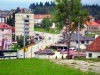 SDS UPOZORAVA DA JE UGROŽENO STANJE BUDŽETA: 'Šume RS' dužne opštini Han Pijesak milion KM