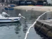 LOŠE VIJESTI SA JADRANA: Gomila nafte iscurila u more... (VIDEO)