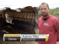 HAOS U BiH: Medvjed upao u tor i napravio pokolj ovaca, mještani u šoku i strahu