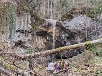 NESTVARNI PRIZORI IZ BOSNE I HERCEGOVINE: Turistička atrakcija opkoljena oborenim stablima...