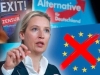 DODIKOVI PRIJATELJI U VELIKIM PROBLEMIMA: Njemački obavještajci AfD proglasili...
