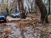 BUDITE MAKSIMALNO OPREZNI: Zbog jakog vjetra mogući odroni ili oborena stabla na kolovozu