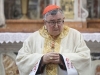 KARDINAL PULJIĆ O IZBORU NOVOG PAPE: 'Pomalo se šapuće - sada je red na franjevce...'