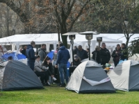 'ĆACILEND' STIGAO I U NOVI SAD: Ali lažni...