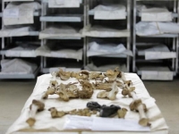 UOČI KOLEKTIVNE DŽENAZE U POTOČARIMA: U Tuzli identifikovana još jedna žrtva genocida