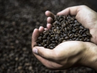 NOVO NENORMALNO: Kilogram kafe skuplji od 25 kilograma brašna, ali ni to nije najgore od svega...