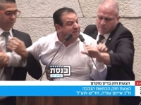 OVO JE IZRAEL - 'JEDINA DEMOKRATIJA NA BLISKOM ISTOKU': Opozicioni poslanik kritikovao ubijanje djece u Gazi pa izbačen iz parlamenta (VIDEO)