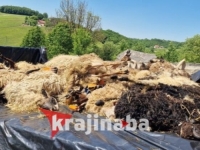 STOČAR OSTAO BEZ IZVORA PRIHODA: Psi lutalice zaklali 32 ovce u BiH