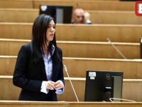 VULIĆKA PROVOCIRALA NA SJEDNICI PD PS BiH: 'Pljuju SDA pred kamerama, a zovu iza kamera, žal 'Trojke' za...'