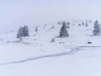 NEVJEROVATNI PRIZORI U HRVATSKOJ: Snijeg napadao kao da je januar, putevi zameteni... (FOTO, VIDEO)