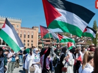 PALESTINSKA ZAJEDNICA UPOZORAVA NA SUMNJIVE OGLASE: Kurbani za Gazu po nerealnim cijenama – apel građanima na oprez