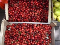 TREŠNJE 16 MARAKA, BORANIJA 10...: Ekonomisti zvone na uzbunu, bit će još gore...