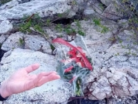 NAJSLAVNIJA I NAJHUMANIJA: U Jablanici obilježena 82. godišnjica Bitke na Neretvi