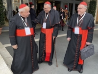 SUTRA POČINJE KONKLAVA: Kardinal Vinko Puljić stigao u Vatikan, kao jedan od najstarijih imat će posebnu čast...