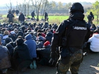 TEŽAK INCIDENT U BLIZINI GRANICE SRBIJE I HRVATSKE: Migranti kod Šida pucali na pripadnike MUP-a Srbije, policija uzvratila, jedan napadač ubijen