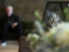 'SKROMAN I NENAMETLJIV KAD BI PROGOVARAO...': Održana komemoracija za Matiju Dedića, na oproštaju mnoga poznata lica....(FOTO)