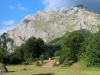 TRAGEDIJA KOD GACKA: Radnik poginuo dok je izvlačio drva iz šume