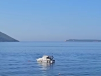 ŠOK NA JADRANU: U dubini uočen KIT! (VIDEO)