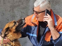 KO JE U OVOJ ZEMLJI ZAPRAVO OBESPRAVLJEN?: HDZ-ovac u mandatu zaradi 146.800 KM, Bošnjaci Stoca i Čapljine na istoj poziciji bez plate