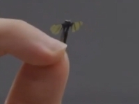 OVO JE NAJNOVIJI KINESKI DRON: Veličine je komarca (VIDEO)
