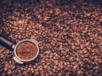 DA LI ĆE DOĆI DO PROMIJENA U CIJENI: Počela berba kafe u Brazilu, kažu da su prinosi odlični