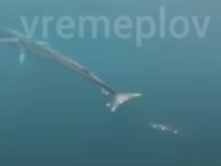 PA SE TI OKUPAJ: Kit nastavlja uživati u vodama Jadrana, pojavio se snimak (VIDEO)