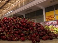 SUSJEDI U PROBLEMIMA: Paradajz se kupuje na komad, a trešnje na dekagrame, ali ni to nije sve...