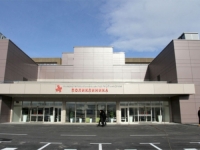BRAT RANIO SESTRU NA PRIPREMAMA ZA SVADBU: Život joj spasili na UKC-u RS