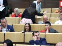 ZBOG ZMIJE U SALI OTKAZANA SJEDNICA DOMA NARODA FBiH: Zatražena detaljna istraga, opozicija za sve optužila Trojku (FOTO)