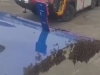 AVION U INDIJI NIJE MOGAO POLETJETI ZBOG PČELA: Morali su zvati vatrogasce (VIDEO)