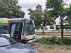 POSLJEDICE NEVREMENA: Stablo palo na autobus s 15 putnika tokom vožnje u Ljubljani (FOTO)