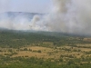 VATRENA STIHIJA U DALMACIJI: Na terenu vatrogasci, kanaderi i dva Air Tractora