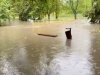 NEVRIJEME NA JUGU POLJSKE: Obilne kiše prave probleme, pogledajte kako je poplavljeno ovo mjesto (VIDEO)