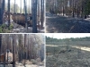 UNIŠTENO JEDNO OD OMILJENIH NASELJA: 50 vikendica izgorjelo do temelja, ovo je sve o požaru u Vincima