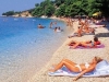 VIC DANA: Krenula priča o seksu na plaži, a onda se u razgovor uključio Mujo…