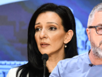 OGLASIO SE SSP NAKON UVREDA UPUĆENIH MARINIKI TEPIĆ: Dragan J. Vučićević govori ono što Vučić misli