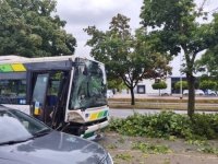 POSLJEDICE NEVREMENA: Stablo palo na autobus s 15 putnika tokom vožnje u Ljubljani (FOTO)